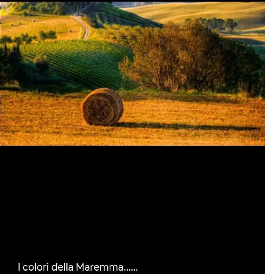 Il Rifugio, Nel Cuore Della Maremma Toscana, Zona Saturnia Apartment Murci Italy