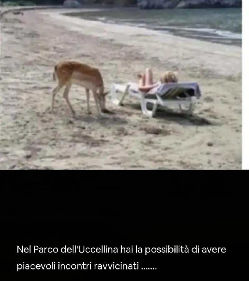 Il Rifugio, Nel Cuore Della Maremma Toscana, Zona Saturnia Apartment Murci